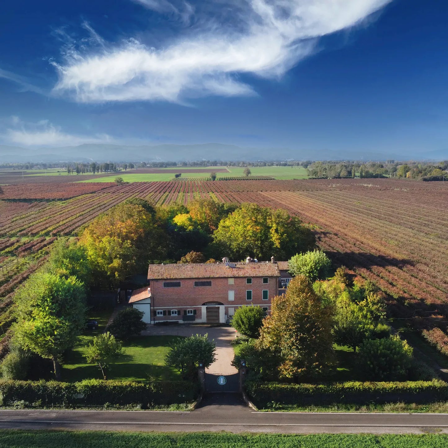 Acetaia La Bonissima Sigillo Platino (Platinum Seal) Aged Balsamic Vinegar (100ml)