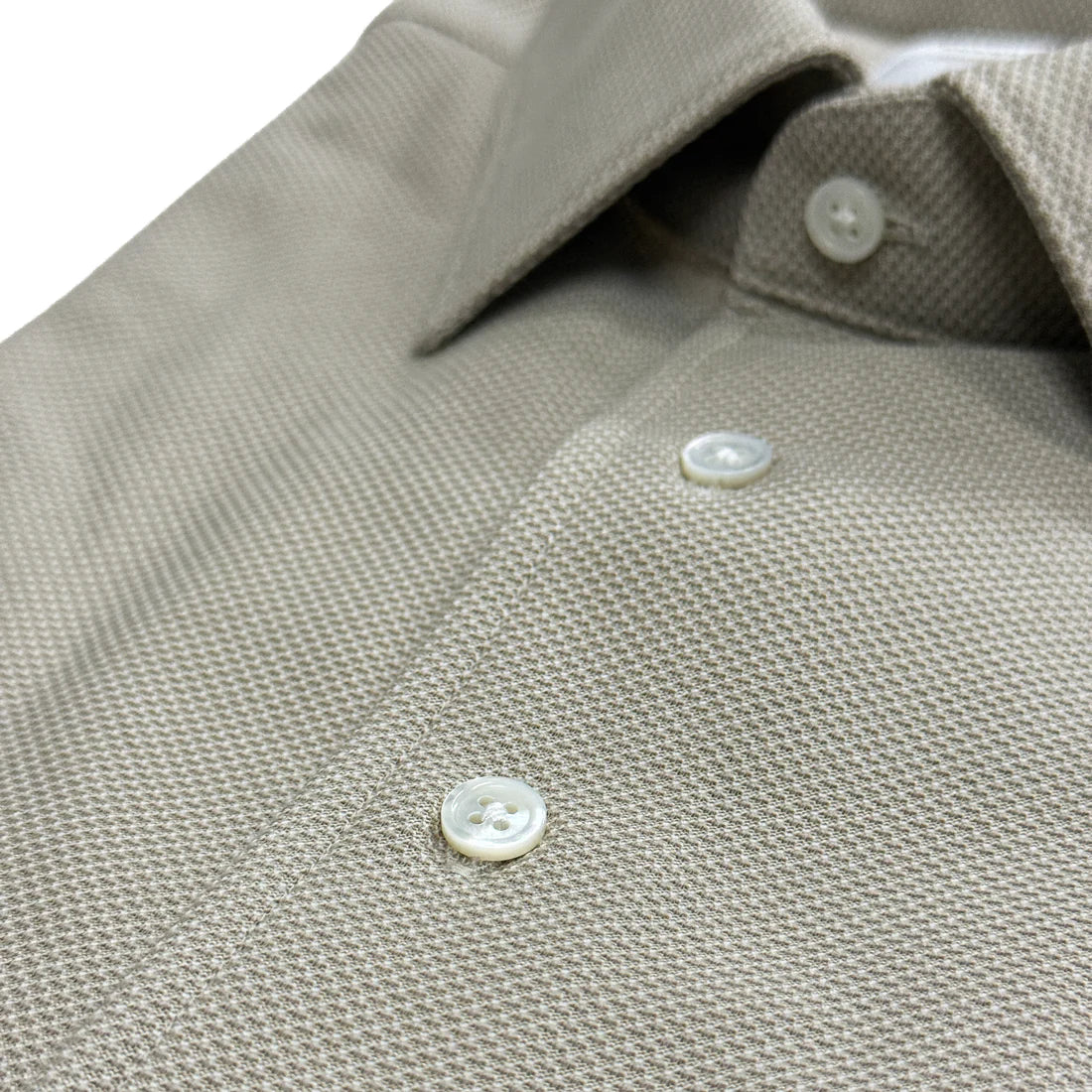 COLONY CLOTHING / ALBINI POLO SHIRT / CCSE-PL02